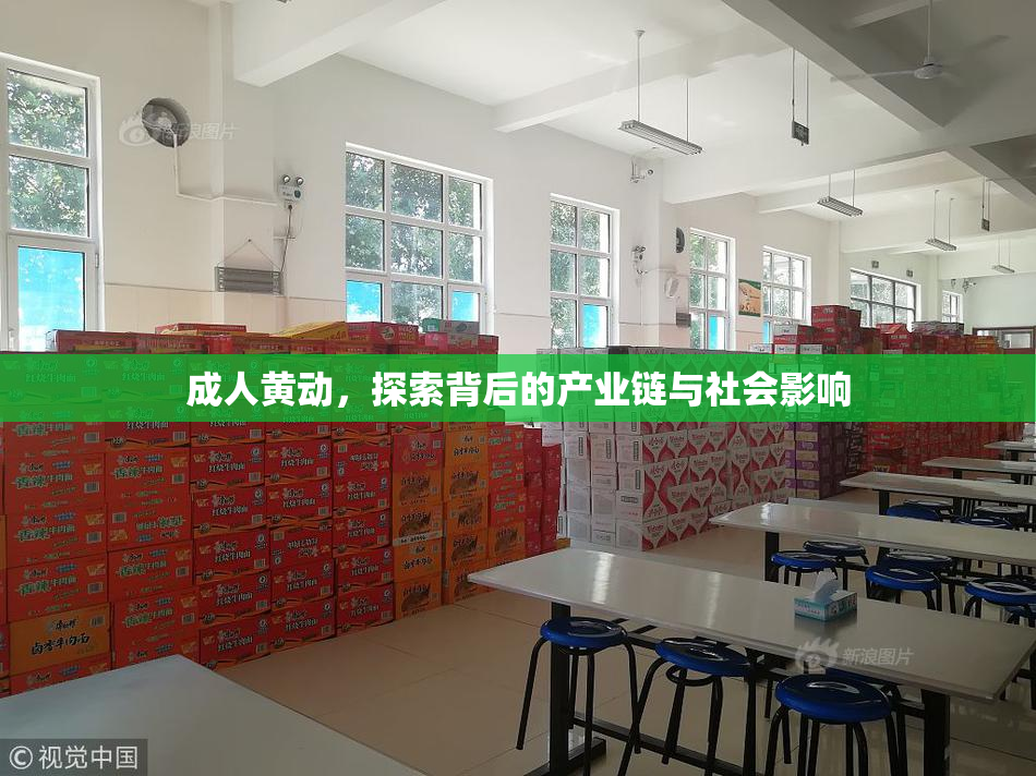 成人黄动，探索背后的产业链与社会影响