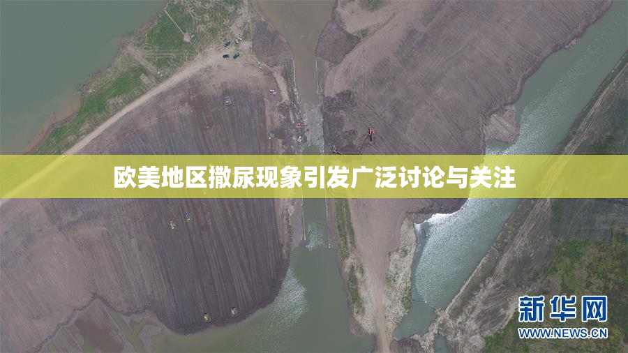 欧美地区撒尿现象引发广泛讨论与关注