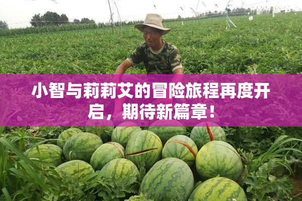 小智与莉莉艾的冒险旅程再度开启，期待新篇章！