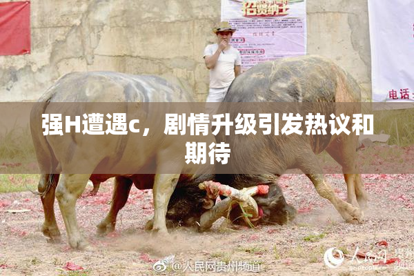 强H遭遇c，剧情升级引发热议和期待