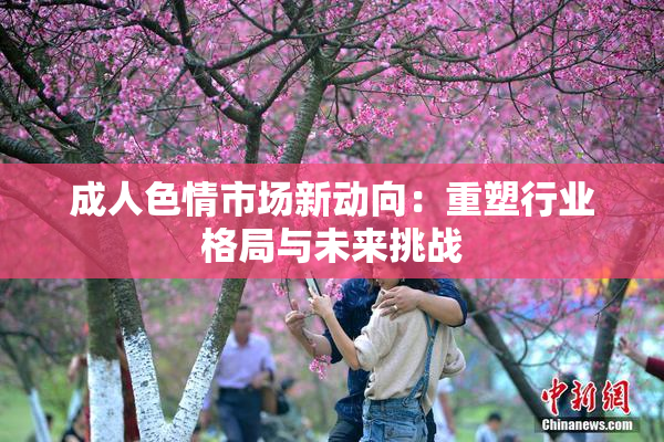 成人色情市场新动向：重塑行业格局与未来挑战