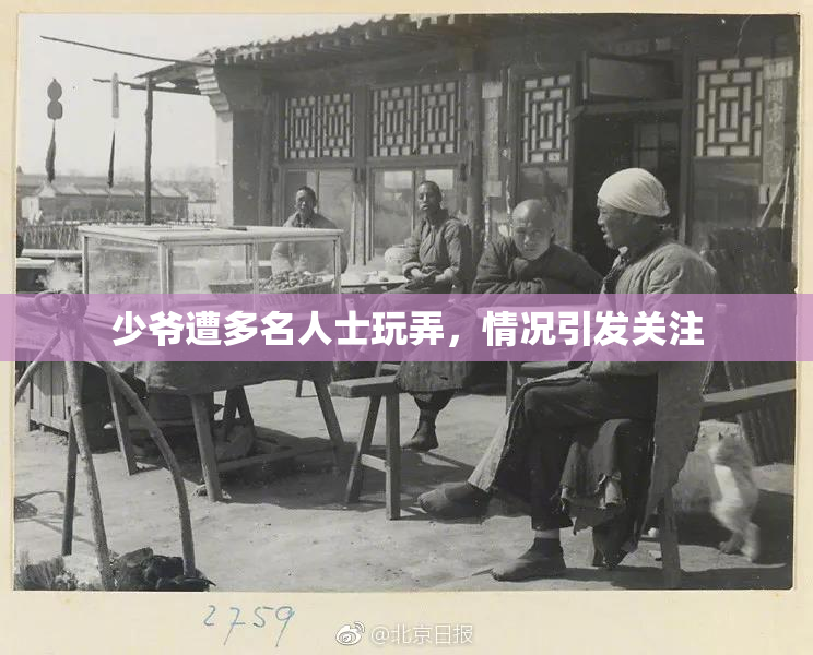 少爷遭多名人士玩弄，情况引发关注