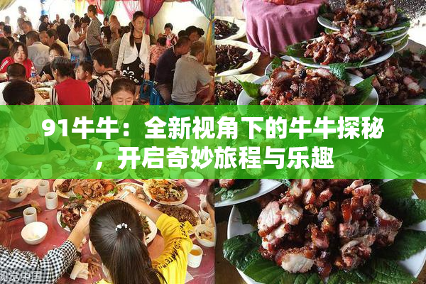 91牛牛：全新视角下的牛牛探秘，开启奇妙旅程与乐趣