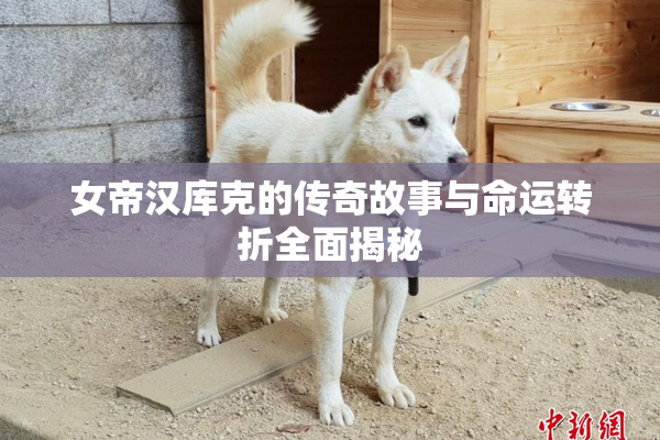 女帝汉库克的传奇故事与命运转折全面揭秘