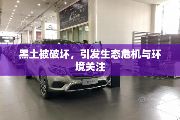 黑土被破坏，引发生态危机与环境关注