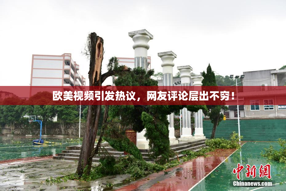 欧美视频引发热议，网友评论层出不穷！