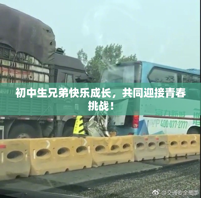 初中生兄弟快乐成长，共同迎接青春挑战！