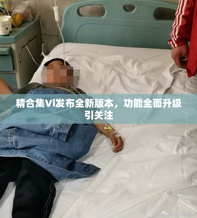 精合集Vi发布全新版本，功能全面升级引关注