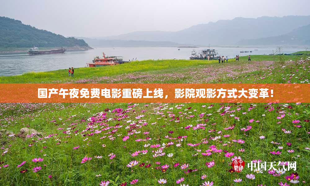 国产午夜免费电影重磅上线，影院观影方式大变革！