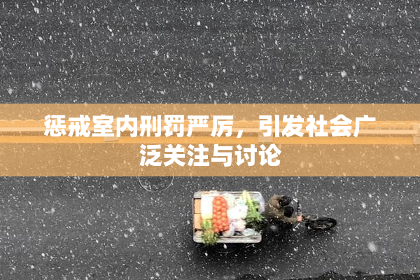 惩戒室内刑罚严厉，引发社会广泛关注与讨论