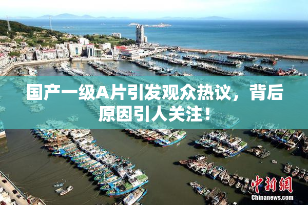 国产一级A片引发观众热议，背后原因引人关注！