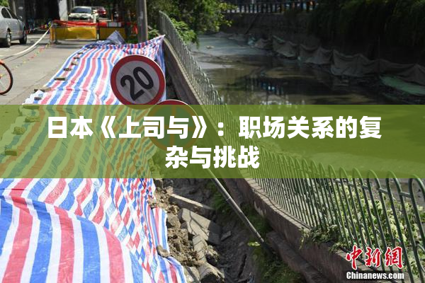 日本《上司与》：职场关系的复杂与挑战