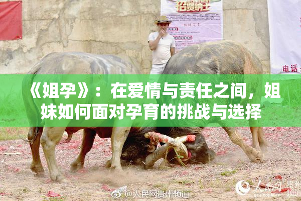 《姐孕》：在爱情与责任之间，姐妹如何面对孕育的挑战与选择
