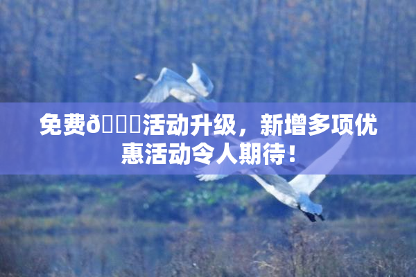 免费🔞活动升级，新增多项优惠活动令人期待！