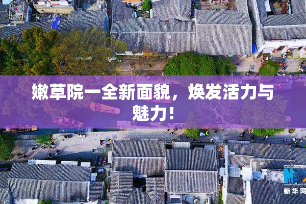嫩草院一全新面貌，焕发活力与魅力！