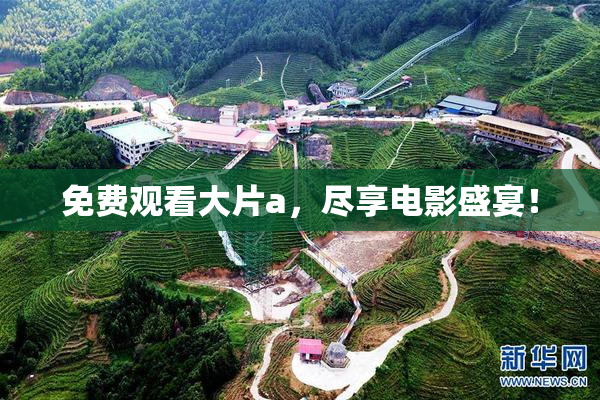 免费观看大片a，尽享电影盛宴！