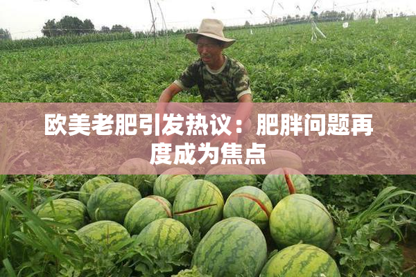 欧美老肥引发热议：肥胖问题再度成为焦点