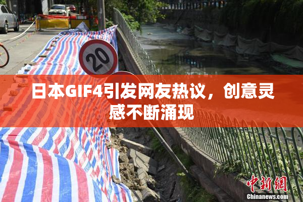 日本GIF4引发网友热议，创意灵感不断涌现