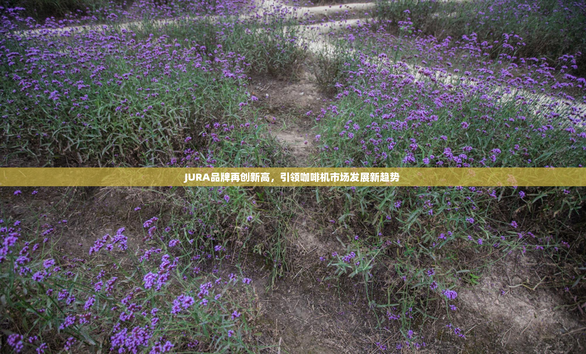 JURA品牌再创新高，引领咖啡机市场发展新趋势