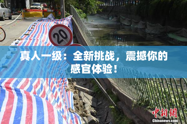 真人一级：全新挑战，震撼你的感官体验！