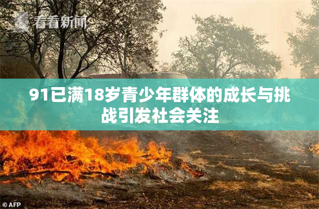 91已满18岁青少年群体的成长与挑战引发社会关注
