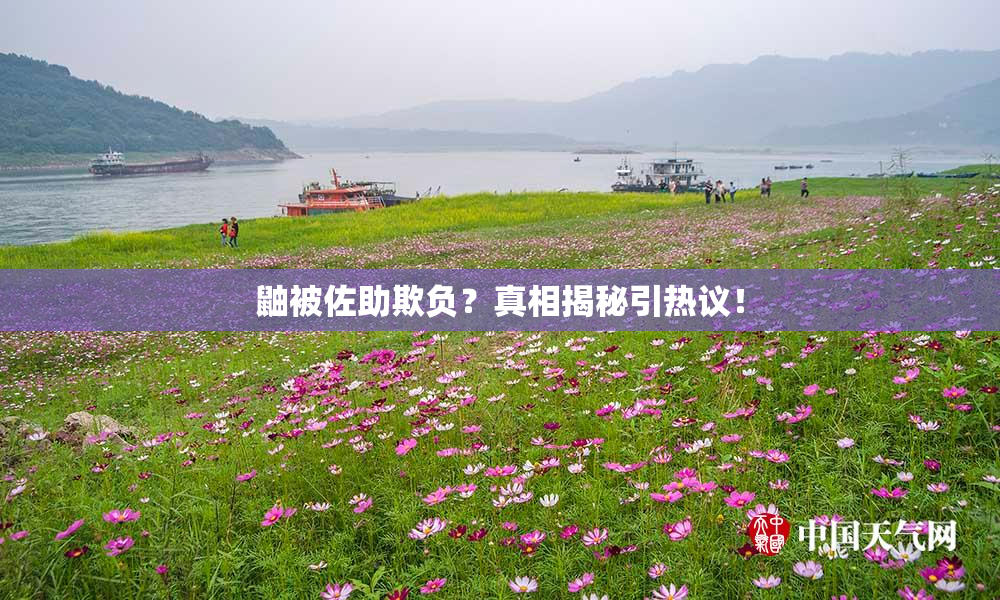 鼬被佐助欺负？真相揭秘引热议！
