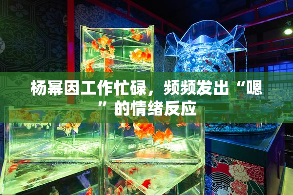 杨幂因工作忙碌，频频发出“嗯”的情绪反应