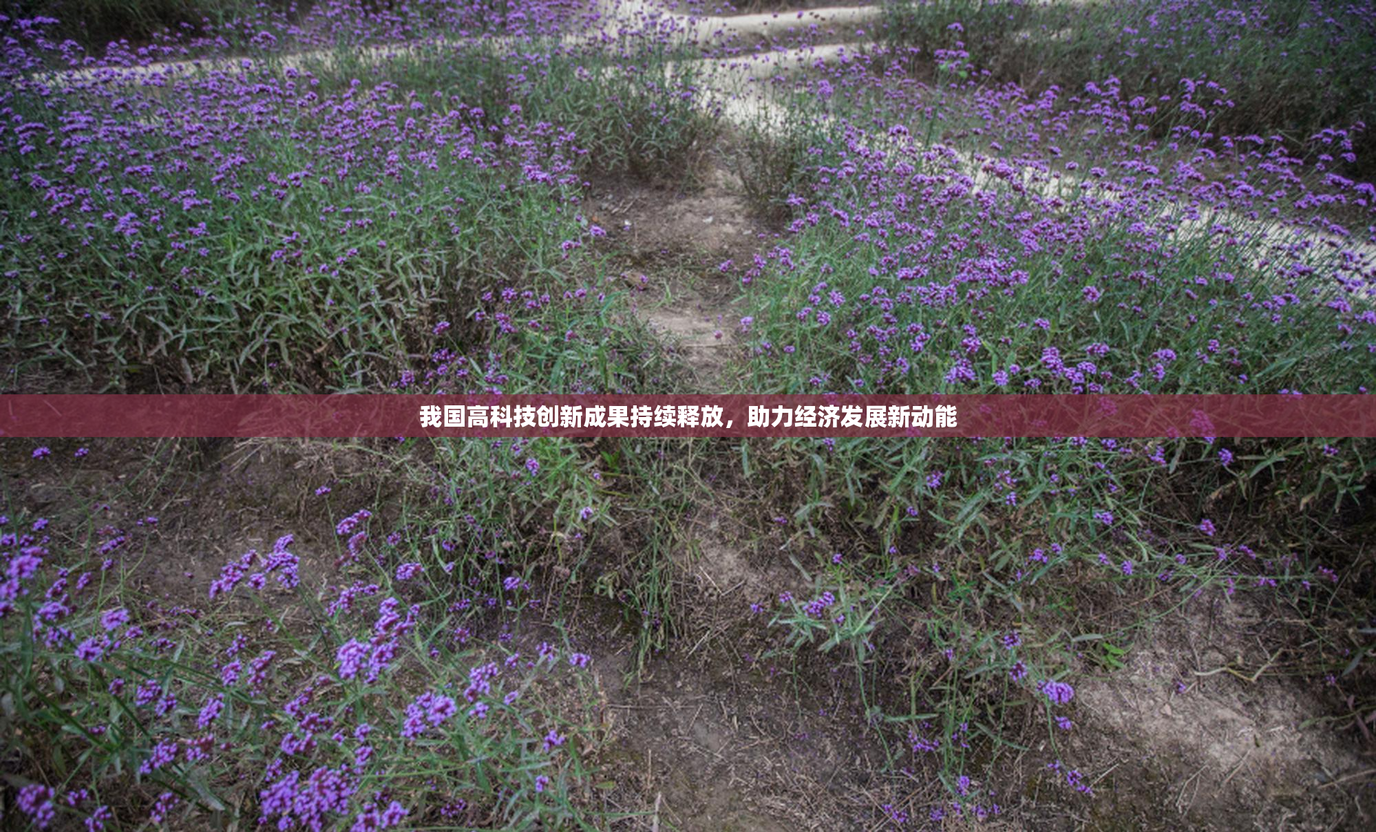 我国高科技创新成果持续释放，助力经济发展新动能