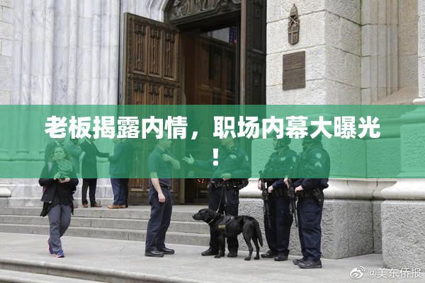 老板揭露内情，职场内幕大曝光！