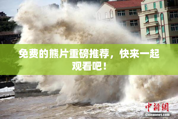 免费的熊片重磅推荐，快来一起观看吧！