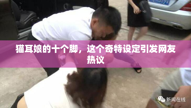 猫耳娘的十个脚，这个奇特设定引发网友热议