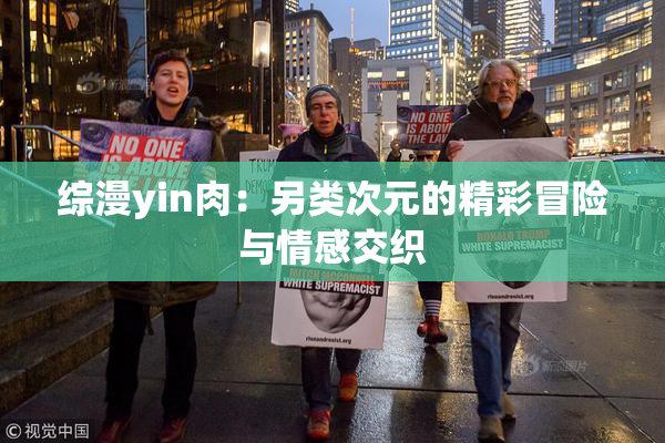 综漫yin肉：另类次元的精彩冒险与情感交织