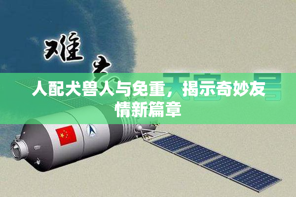 人配犬兽人与免重，揭示奇妙友情新篇章