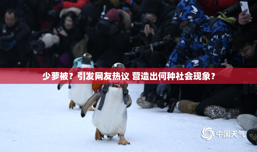 少萝被？引发网友热议 营造出何种社会现象？