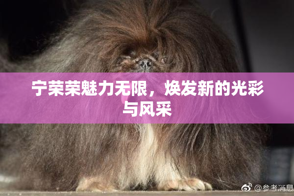 宁荣荣魅力无限，焕发新的光彩与风采