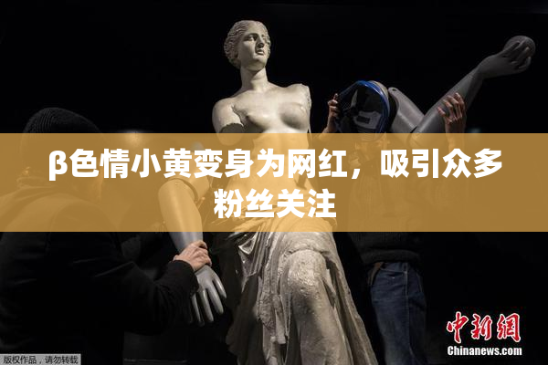 β色情小黄变身为网红，吸引众多粉丝关注