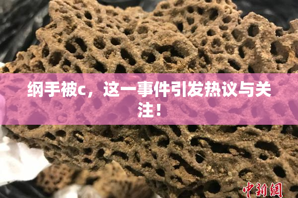 纲手被c，这一事件引发热议与关注！