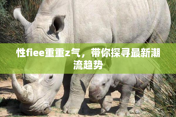 性fiee重重z气，带你探寻最新潮流趋势