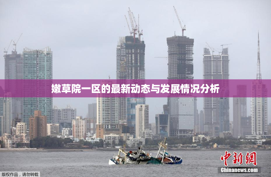 嫩草院一区的最新动态与发展情况分析