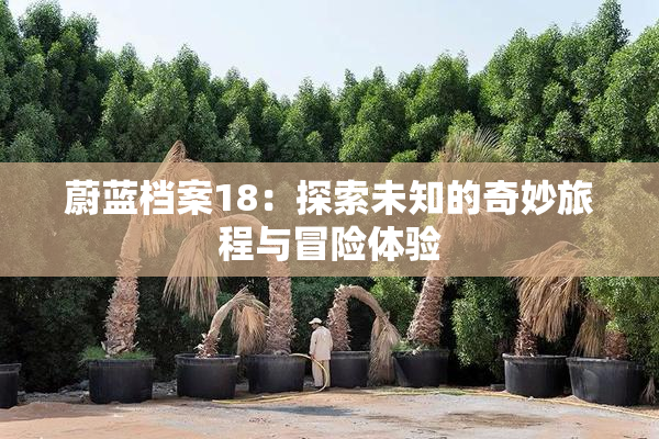 蔚蓝档案18：探索未知的奇妙旅程与冒险体验