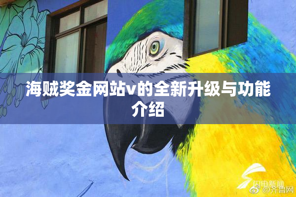 海贼奖金网站v的全新升级与功能介绍