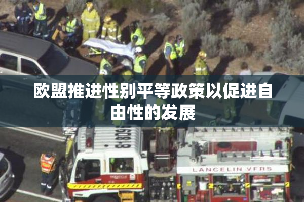 欧盟推进性别平等政策以促进自由性的发展