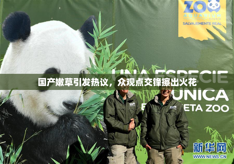 国产嫩草引发热议，众观点交锋擦出火花