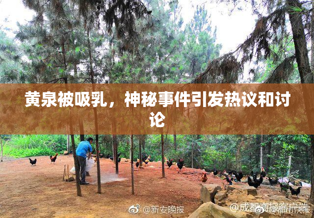 黄泉被吸乳，神秘事件引发热议和讨论