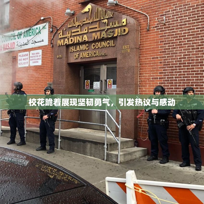 校花跪着展现坚韧勇气，引发热议与感动