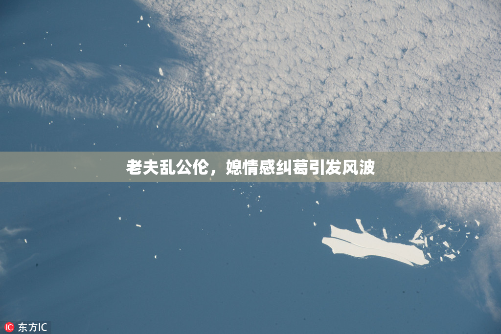 老夫乱公伦，媳情感纠葛引发风波