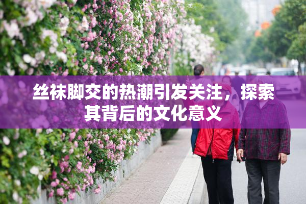 丝袜脚交的热潮引发关注，探索其背后的文化意义