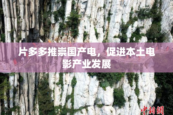 片多多推崇国产电，促进本土电影产业发展
