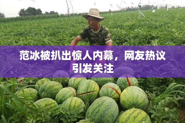 范冰被扒出惊人内幕，网友热议引发关注