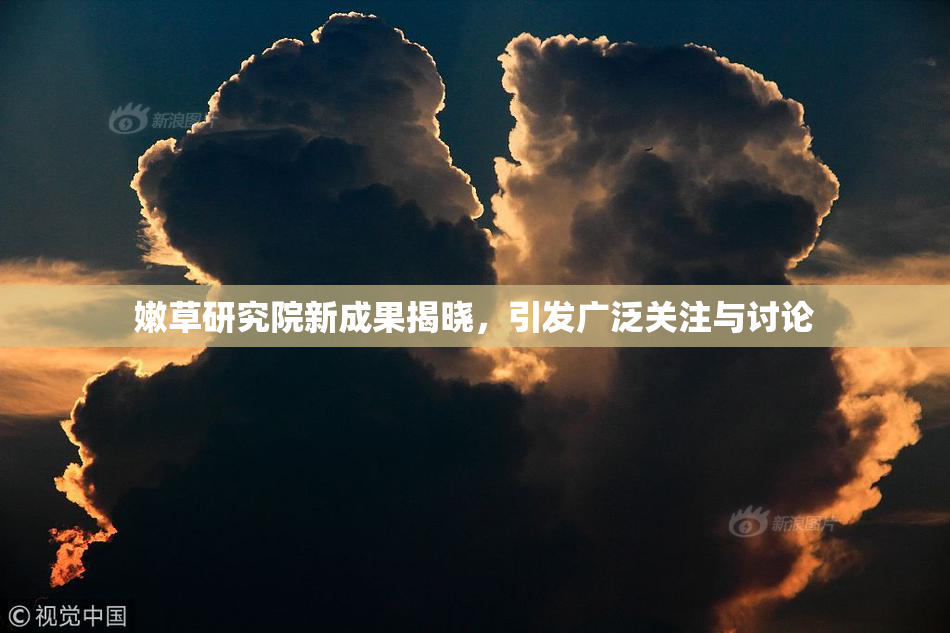 嫩草研究院新成果揭晓，引发广泛关注与讨论